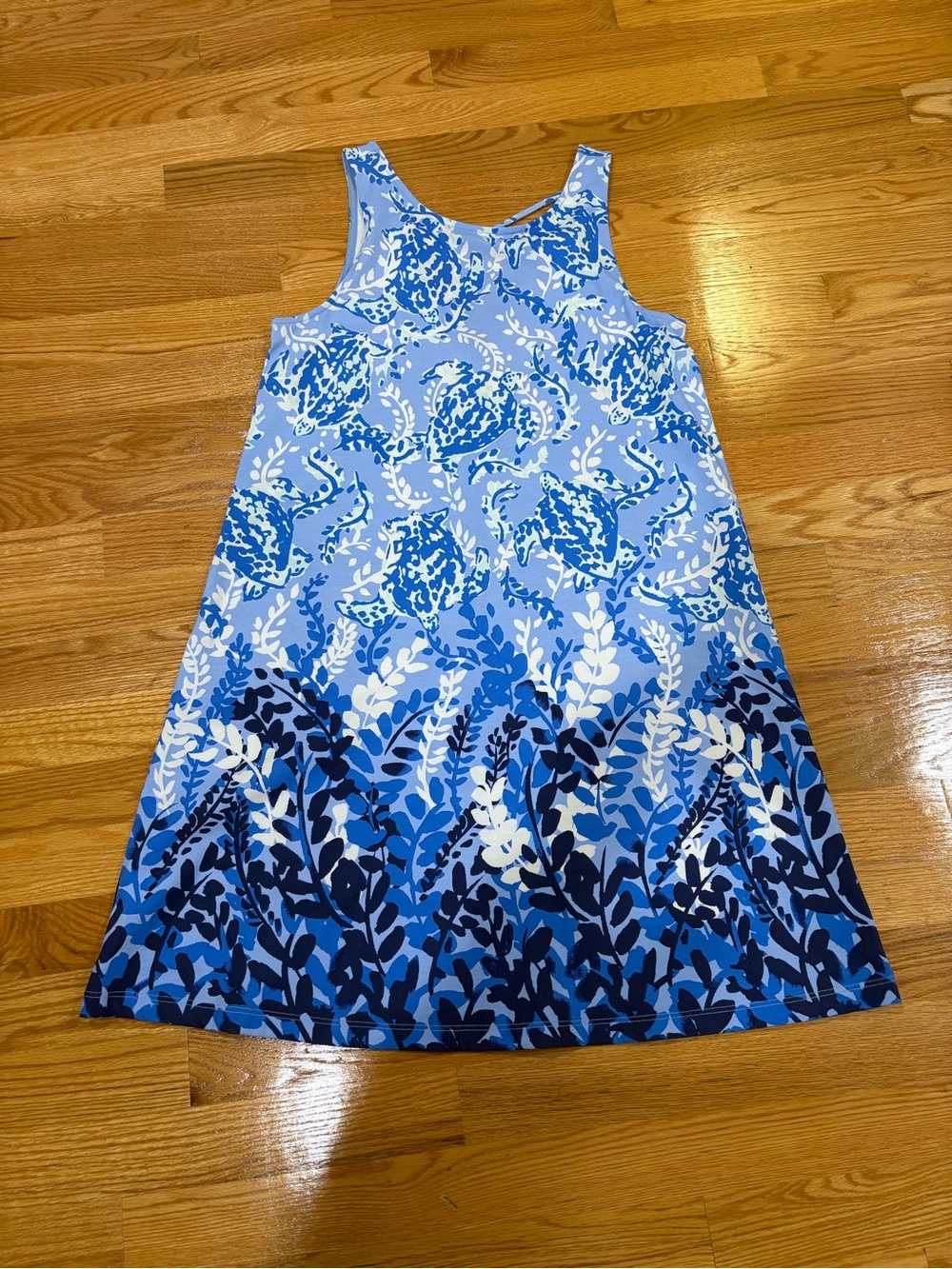 Lilly Pulitzer Blue Floral Tank Dress